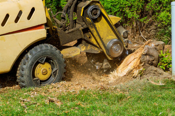 Best Lawn Watering Services  in Deans, NJ